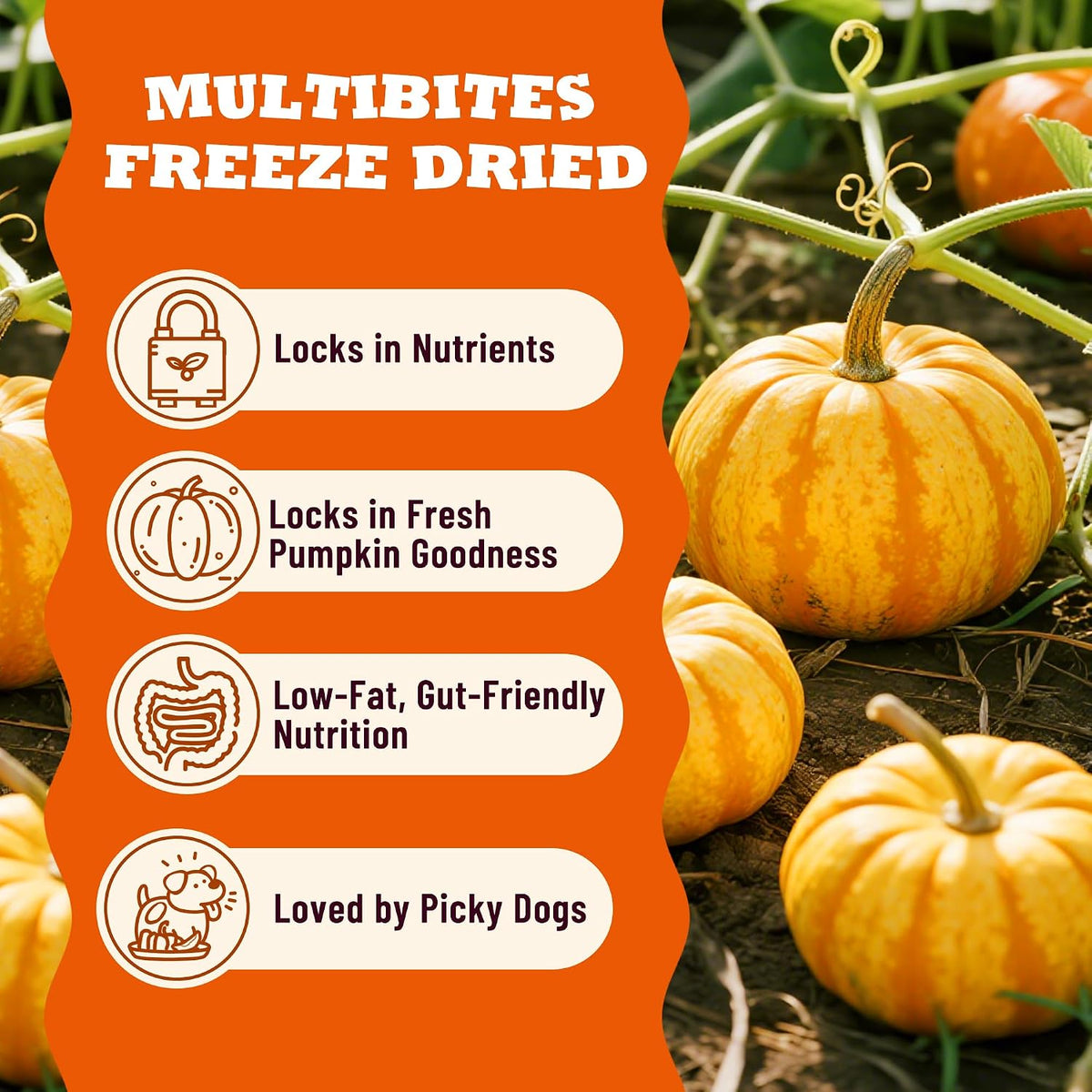 Freeze Dried Pumpkin Treats for Dogs, Single Ingredient, 1.76Oz